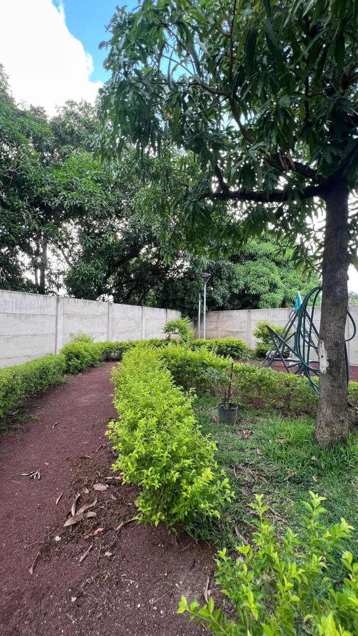 Apartamento en renta Elíseos 295 Bulevar Constitución — foto 10