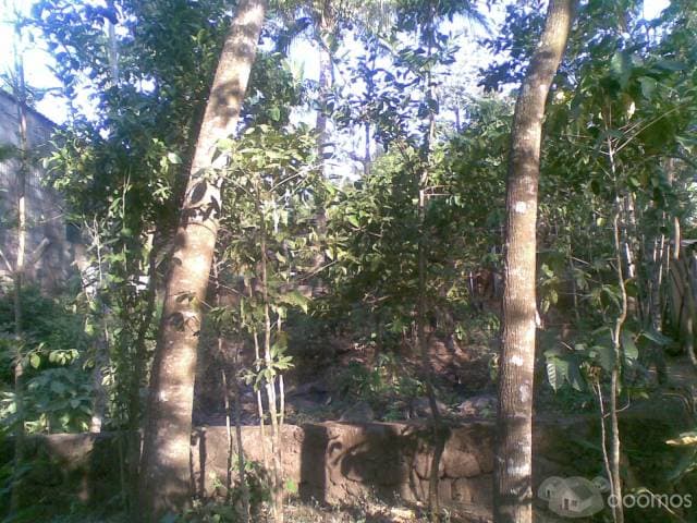 Vendo casa en canton Talcomunca, Izalco, Sonsonate — foto 7