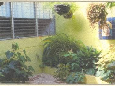 Miniatura 9