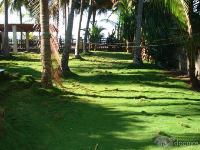 RANCHO FRENTE A LA PLAYA METALÍO — foto 2