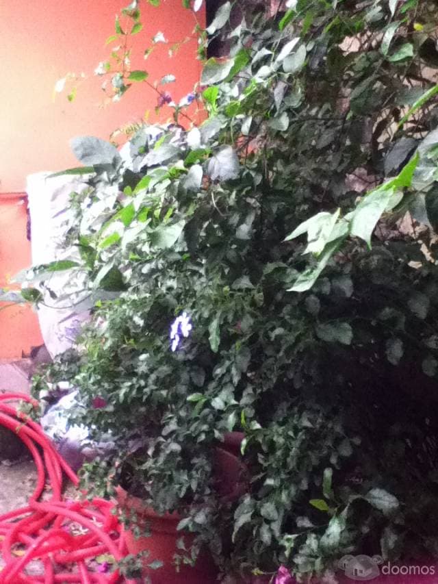 Casa en venta, Centro Soyapango, San Salvador. — foto 2