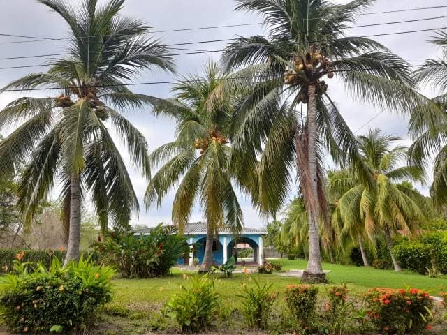 Venta de  Rancho  en las veraneras — foto 3