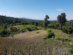 Vendo Beneficio Venecia km 72 carretera a Chalchuapa,